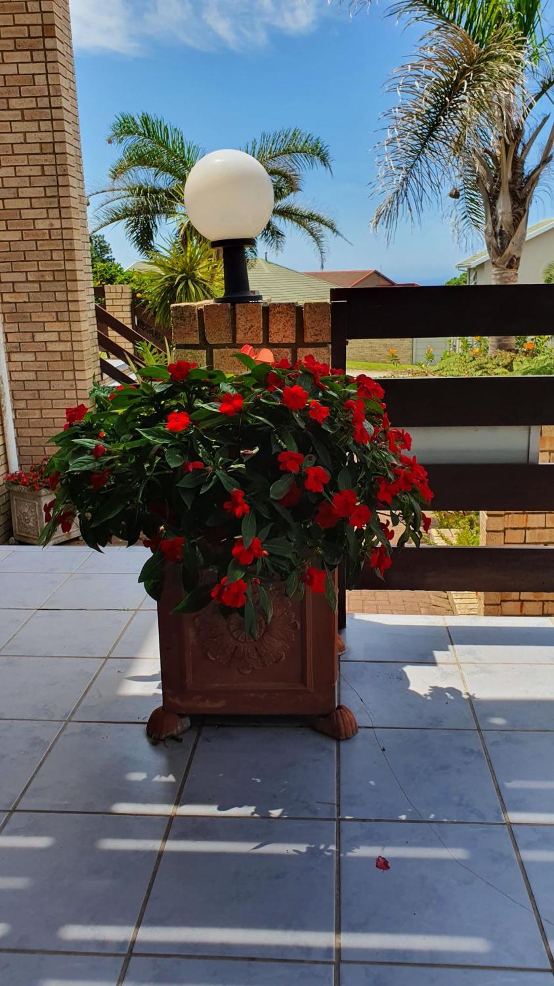 Villa Majestic For Exclusive Accommodation Port Alfred Eksteriør bilde